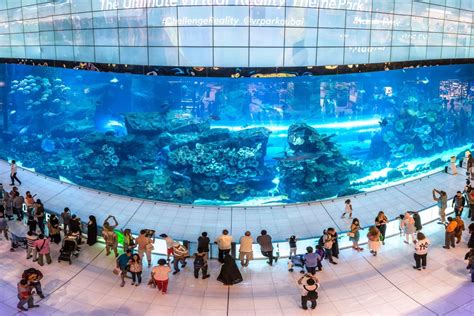 10 Best Aquariums In The World 2023 Pricesize And More
