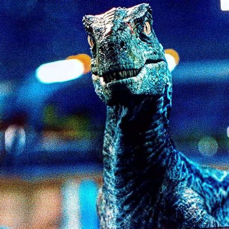 Blue Jurassic World Jurassic World Dinosaurs Jurassic Park Series Favorite Tv Characters
