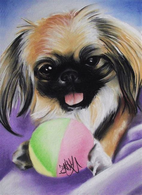 Soft Pastels Dog Animal Portrait By Helena Kocakova Pastel Portraits