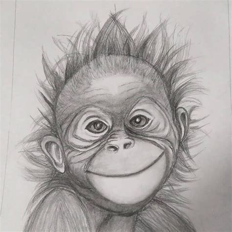 Aggregate More Than 74 Pencil Sketch Of Monkey Best Vn