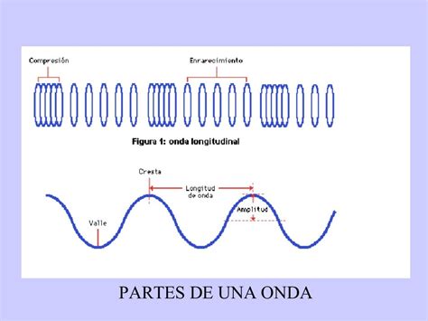 Movimiento Ondulatorio