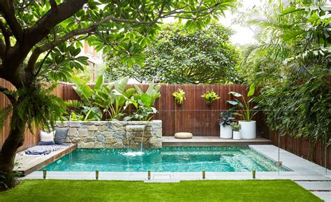 Plant These Pool Friendly Trees Solar Breeze