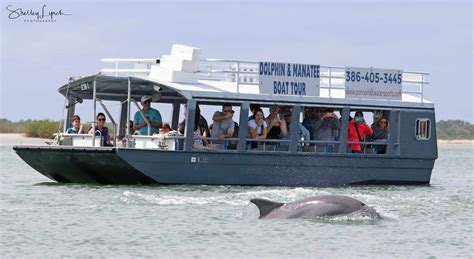 Daytona Beach Dolphin And Manatee Boat Tours Ponce Inlet Watersports