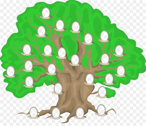 contoh  gambar mewarnai pohon keluarga kataucap
