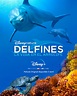 Disney+ España on Twitter: "Disneynature presenta “Delfines, la vida en ...