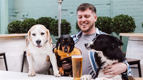 Paws and Pints, Brisbane