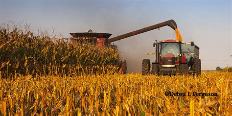 Kentucky Corn Harvest Begins In Some Areas Usda Agfax