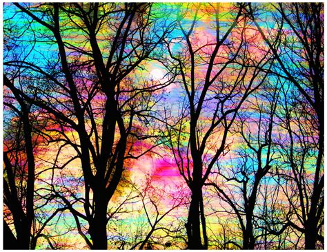 The Enchanted Rainbow Forest Jungle Pinterest