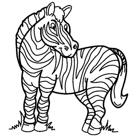Desenho De Zebra Pequena Para Colorir Tudodesenhos Porn Sex Picture