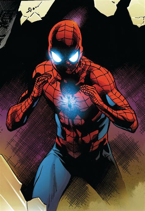 Spider Man Peter Parker Art By Stuart Immonen Spectacular Spider