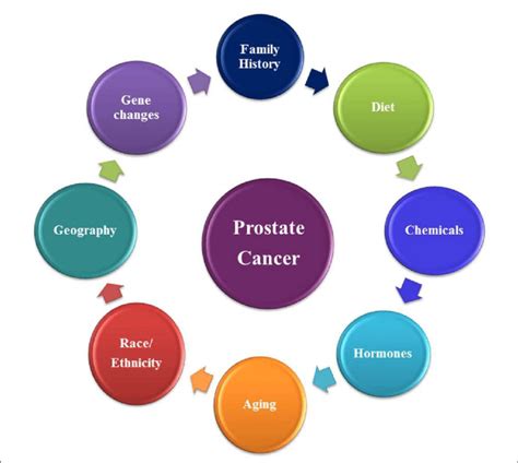Risk Factors For Prostate Cancer Download Scientific Diagram