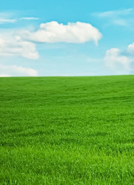 Premium Photo Green Field And Blue Sky With Clouds Beautiful Meadow