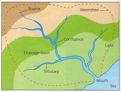 The Drainage Basin