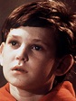 ET star Henry Thomas arrested for DUI in Oregon | Daily Telegraph