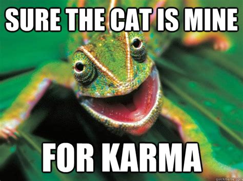 Karma Chameleon Memes Quickmeme