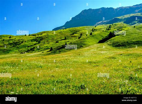 High Alp Hi Res Stock Photography And Images Alamy