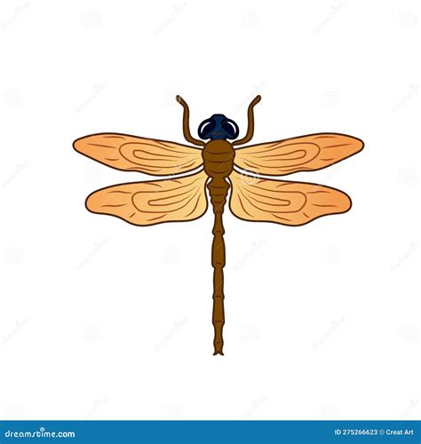 Dragonfly Clipart Vector 275266611
