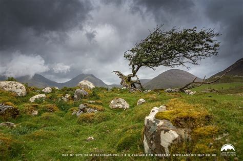 Windswept Tree Near Torrin Isle Of Skye Scotland Map Skye Scotland