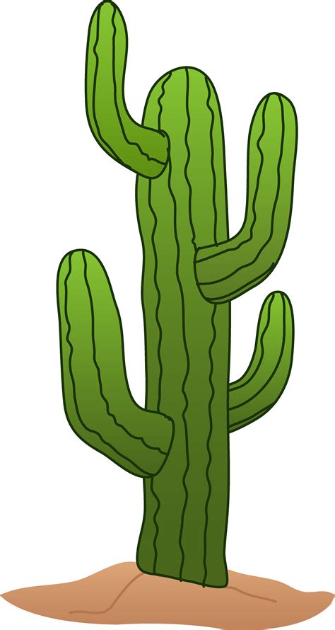 Collection Of Cactus Hd Png Pluspng