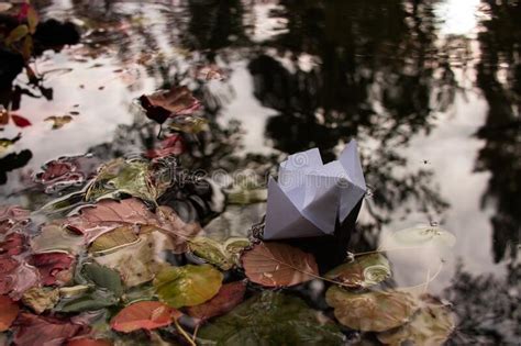 Paper Boat On The Water Autumn Leaves Swim In The Lake Reflection In