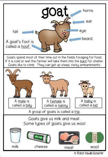 Farm Animals Posters Anchor Charts In 2020 Farm Animals Preschool