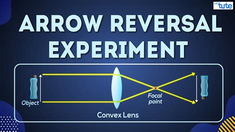 Arrow Reversing Experiment Science Experiment Letstute Youtube