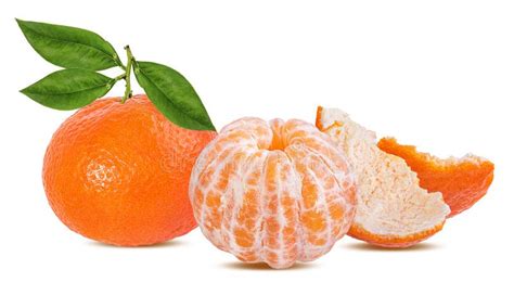Tangerine Mandarin Fruit Isolated On White Stock Image Image Of Green