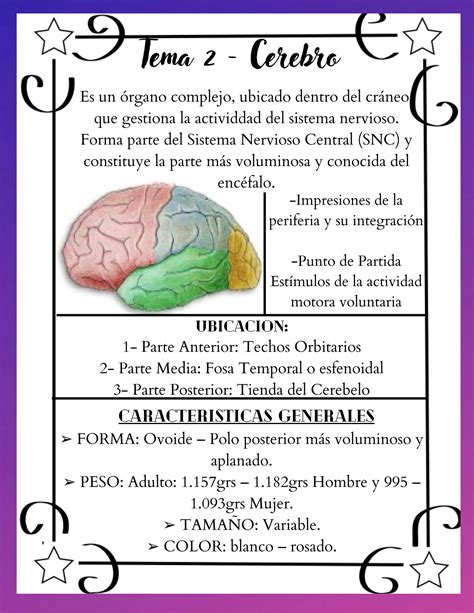 Solution Investigacion Acerca Del Cerebro Y Sus Elementos Studypool
