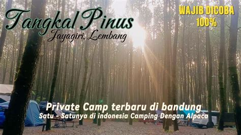 Tangkal Pinus Jayagiri Lembang Tangkal Pinus Campervan Tangkal