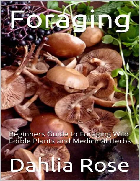 Foraging Beginners Guide To Foraging Wild Edible Plants And Medicinal