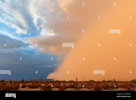 Haboob Dust Storm In Sonoran Desert National Monument Arizona Usa