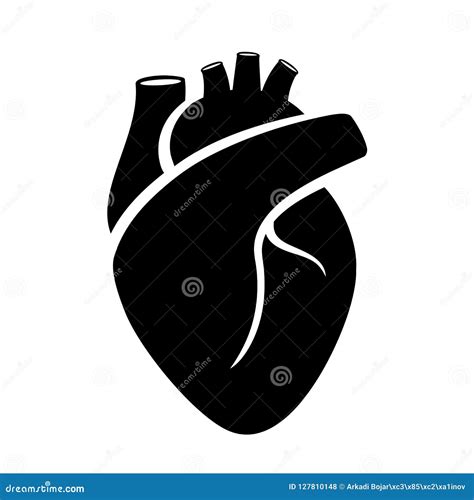 Human Heart Vector Icon Stock Vector Illustration Of Life 127810148