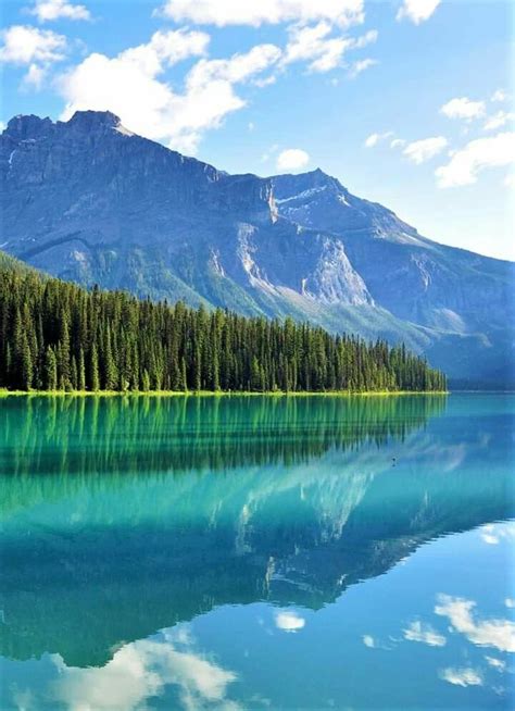 Emerald Lake British Columbia Canada Hutan Hidup Air