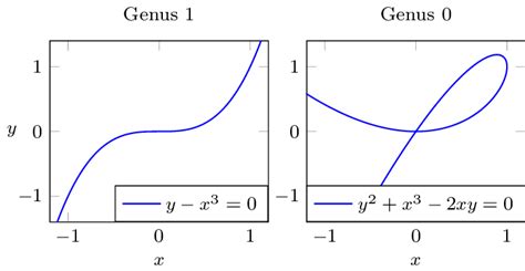 Cubic Curves With Different Genus Note The Double Point In Case Of The