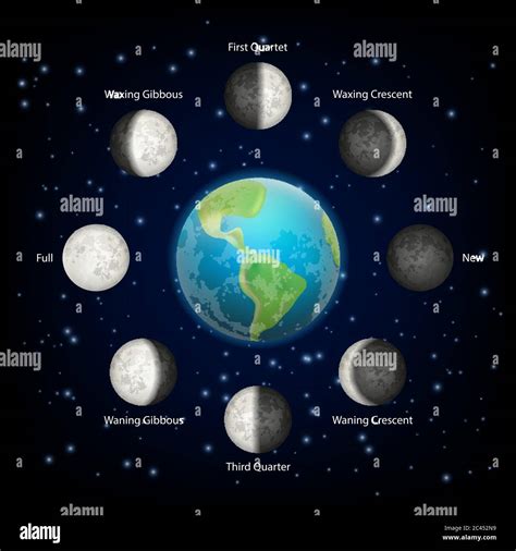 Moon Phases Vector Realistic Illustration Stock Vector Image And Art Alamy