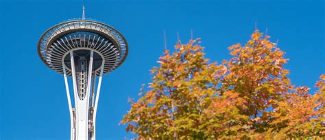 Seattle Travelogue 9 Highlights And Insider Tips