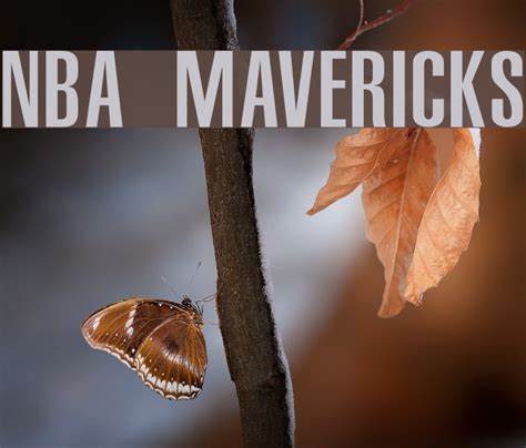 Nba Mavericks Font