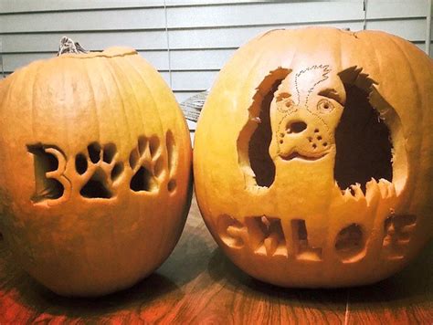 Dog Pumpkin Carvings To Showcase Your Puppy Love This Halloween