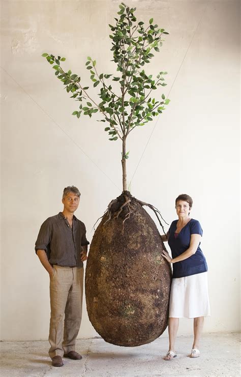 Organic Burial Pods Aim To Replace Coffins And Transform Graves Into Trees Trends Zilla