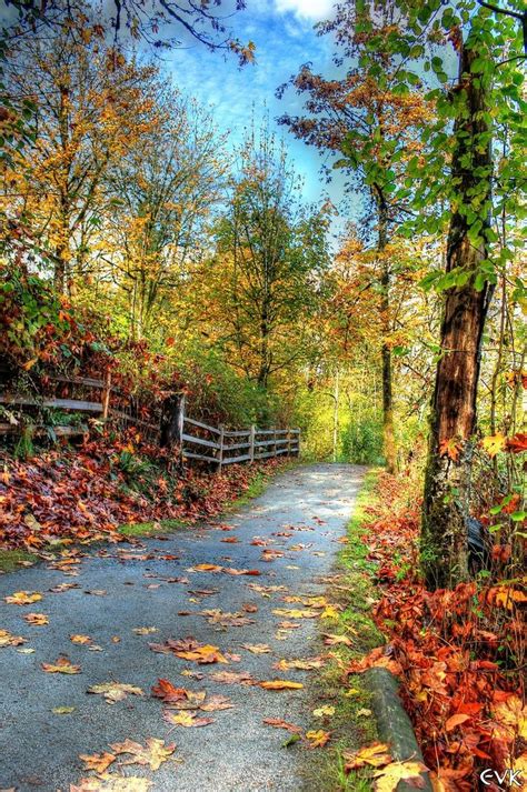 Free Image On Pixabay Trail Nature Landscape Autumn Autumn