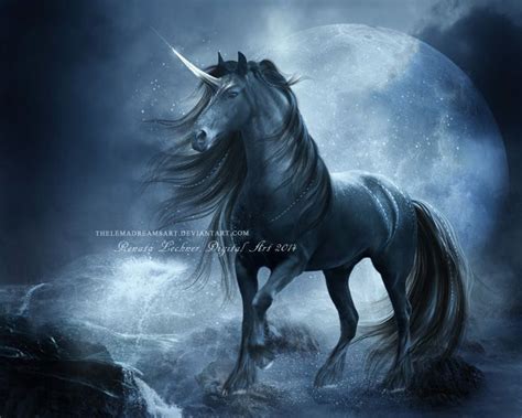 Black Unicorn By Thelemadreamsart On Deviantart Black Unicorn