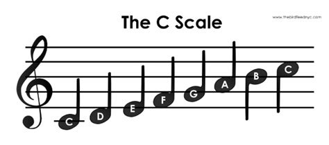 You can also find specific pages on major chords, minor chords, suspended chords and diminished chords. C Chord on Guitar: History, Chord Shapes, Major Scale, Songs etc