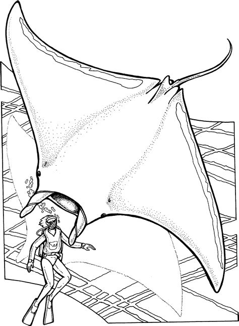 stingray coloring pages