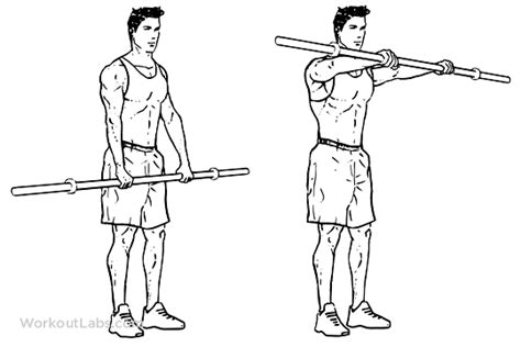 Barbell Front Raise Illustrated Exercise Guide Workoutlabs