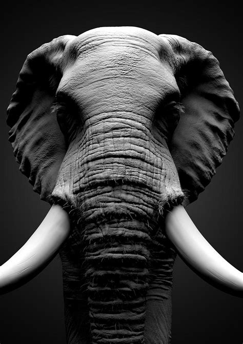 Sculpting realistic animals · 3dtotal · Learn | Create | Share