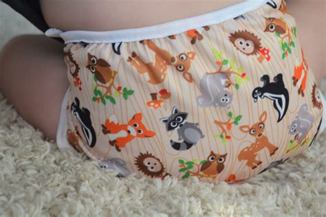 Omaiki Orion Fitted Diaper And Cover Review