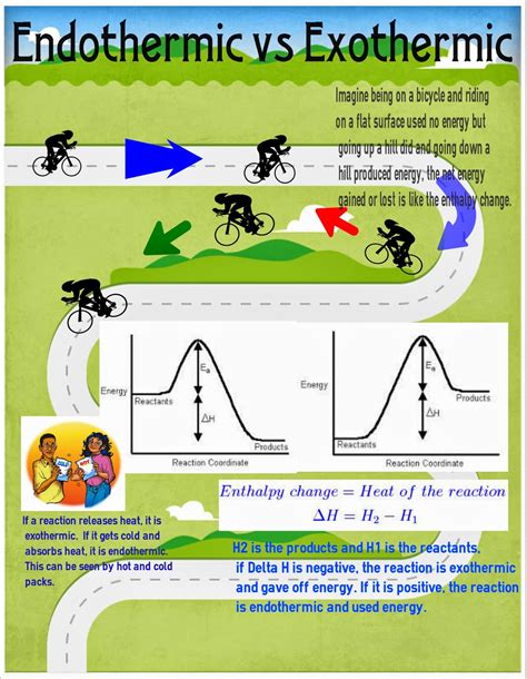 Thermodynamics In Chemistry Infographic On Exothermic And Endothermic