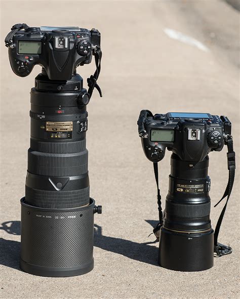 Battle Of The 300mm Lenses Tom Bol Photography Llc