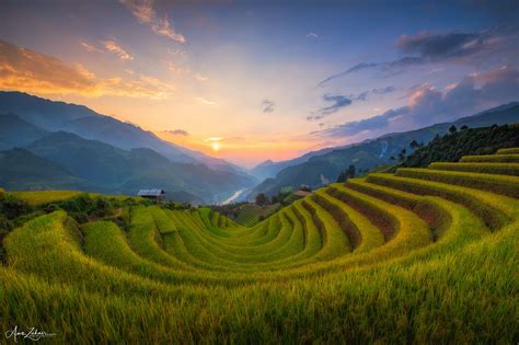 The Famous Rice Terrace From Mu Cang Chai Vietnam Rice Terraces
