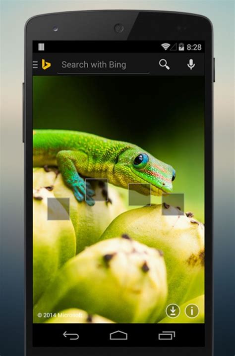 Bing Search App For Android Updated With Full-screen Browsing Support And More - MSPoweruser
